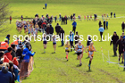 Girls Under-13s 2022 CAU Inter Counties Cross Country, Prestwold Hall, Loughborough.  Photo: David T. Hewitson/Sports for All Pics